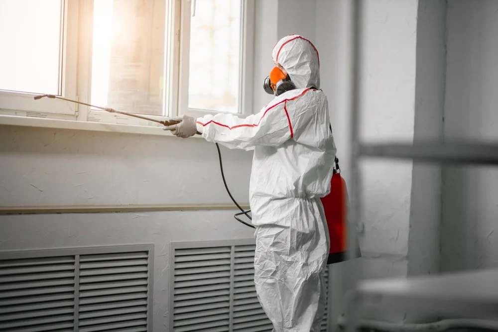 Professional mold remediation services in Dyer, IN